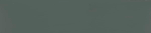 Кромка ПВХ EVS011 (400037U) Сумрачный Нефрит матовая 1*22 мм Rehau 
