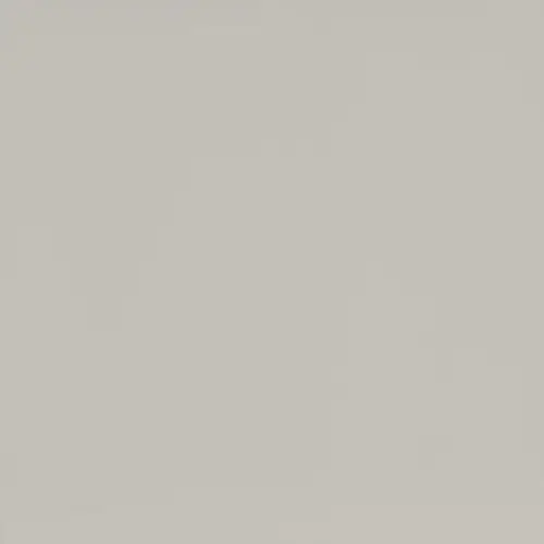 МДФ панель Evosoft Белый Фарфоровый Оникс EVS001 (18х2800х1220) матовый (Kastamonu)