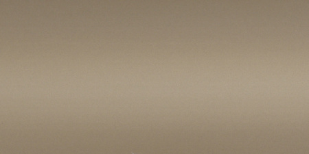 MS125(С) Профиль вертикальный 5,4м, Шампань матовая (А06) MODUS